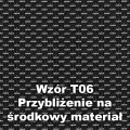 _T06.jpg