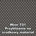 _T01.jpg
