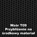 _T09.jpg