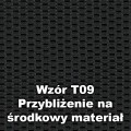 _T09.jpg